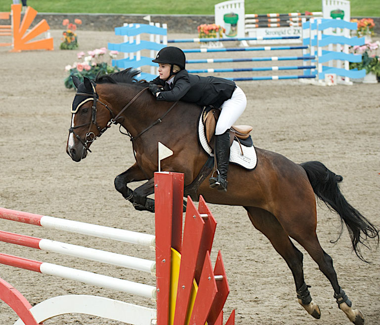 Equestrian horse jumping  1144